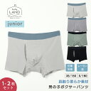 今だけ送料無料【 単品/2点セット】ジュニア ハイジュニア リラクシーフィールショーツ ボーイズ ランドリーランド ボクサーパンツ 下着 インナー 抗菌防臭加工 シームレス 男性 メンズ 男の子 子供 こども 子ども 無地 伸縮性有 ズレない laundry land ELENE エレーヌ
