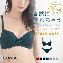 再入荷！ソニアブラック (AAA AA) アンティークフラワーレース ワイヤーブラジャー ショーツ セット aaaカップ aaカップ aaaブラジャー M ベージュ アカ ブラック ネイビー グリーン パープル ピンク 人気 プチプラ 可愛い 小胸さん パンティー セット