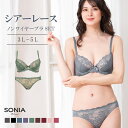 Sonia Black オンカラー ノンワイヤーブラジャー ショーツ セット(3L・4L・5L) 定番 リーズナブル 3L 4L 5Lノンワイヤー グレー ブラ...
