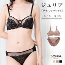 ジュリア (A65〜D85) ソニアブラック ワイヤーブラジャー ショーツ セット ブラセット セット aカップ bカップ cカップ dカップ ブラジャー M ...
