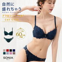 【AAA-Hカップ】ブラジャー ショーツ セット (Cカップ) 自然に盛れちゃう ソニアブラック アンティークフラワーレース ワイヤーブラジャー M L LL 3L 4L 5L 人気 プチプラ 可愛い 下着 レディース エレガント パンティー セット エレーヌ