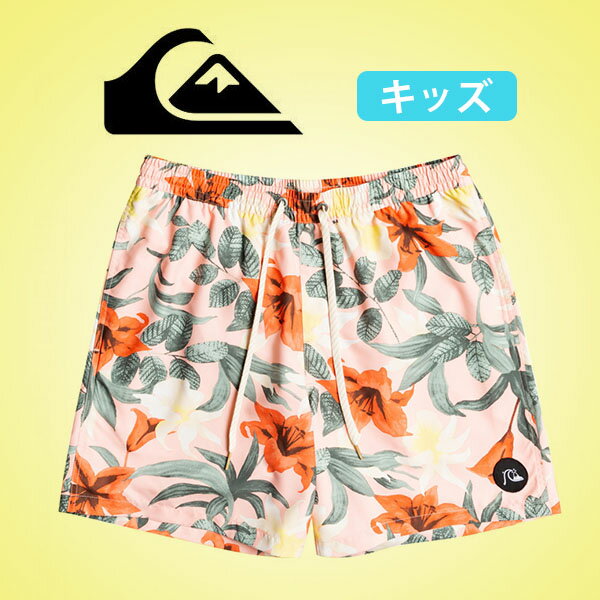 35 off サーフパンツ キッズ クイックシルバー QUIKSILVER ジュニア 男の子 子供 EVERYDAY GARDEN PATH YOUTH 17 BOY KIDS 水着 ロゴ ボードショーツ ジャムショーツ 海水パンツ 海パン スイムウェア スイミング 水泳 プール 海水浴