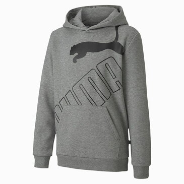 32%OFF キッズ スウェット パーカー プーマ PUMA ジュニア 子供 ビッグロゴ フーディー FL 裏起毛 プルオーバー スエット トレーナー スポーツウェア グレー 585235