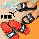 送料無料 プーマ サンダル PUMA メンズ SOFTRIDE スライド マッサージ スポーツサンダル シャワーサンダル 健康サンダル スポーツ サンダル シューズ 靴 ジム プール 海水浴 海 38