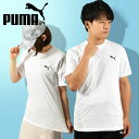 䂤pPbgΉ\Iv[} Y fB[X  TVc PUMA TRAIN ALL DAY SS TVc |CgS X|[cEFA g[jO EFA W 2023tVF 522990