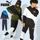 プーマ 35%off 送料無料 プーマ メンズ レディース スウェット 上下セット PUMA POWER キャット フーディースウェット ロングパンツ 裏毛 上下組 セットアップ スポーツウェア トレーニング ウェア 2023秋冬新色 675746 675667