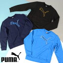 送料無料 プーマ キッズ スウェット トレーナー PUMA ACTIVE SPORTS クルースウェット 裏毛 ビッグロゴ ジュニア 子供 ジャージ スエット 子供服 2023秋冬新作 677719