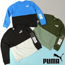 送料無料 プーマ キッズ スウェット トレーナー PUMA POWER クルースウェット TR 裏毛 ロゴ ジュニア 子供 ジャージ スエット 子供服 2023秋冬新作 677721