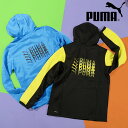  v[} LbY W[W tWbv p[J[ PUMA FIT t[fbhWPbg DK WjA q obNvg X|[cEFA g[jO EGA 2023H~V 678511