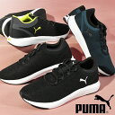  v[} Y Xb| Xj[J[ SnQ ӂӂC\[ PUMA SOFTRIDE N[Y 2 Xbv I R[h [Jbg V[Y C 2024tĐVF 379376