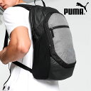 送料無料 プーマ リュックサック PUMA teamFINAL バックパック L 25L スポーツバッグ リュック バッグ かばん 鞄 サッカー フットボール ...