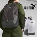 30%off プーマ リュックサック PUMA シティ バックパック 21リットル リュック バッグ カバン 鞄 スポーツバッグ ジム クラブ 部活 学校 通学 通勤 079942