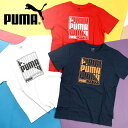 䂤pPbgΉ\Iv[} LbY  TVc PUMA GRAPHICS PUMA [fBO TVc WjA q S q 2024tĐV 681330