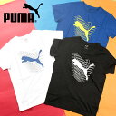 䂤pPbgΉ\Iv[} LbY  TVc PUMA GRAPHICS Lbg TVc WjA q rbOS q 2024tĐV 681332