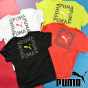 䂤pPbgΉ\Iv[} LbY  TVc PUMA FIT TVc WjA q obNvg q 2024tĐV 681337