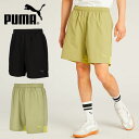 送料無料 プーマ メンズ ハーフパンツ 下 PUMA SUMMER シアサッカー 6 ショートパンツ ショーツ 短パン スポーツウェア トレーニング ウェア 2...