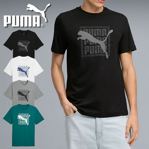 ゆうパケット対応可能！ プーマ メンズ レディース 半袖 Tシャツ PUMA GRAPHIC PUMA ワーディング Tシャツ ロゴ スポーツカジュアル スポカジ 2026春夏新作 694085
