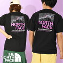 椦ѥåȯ̵ Ρե T  ǥ Ⱦµ ϸ THE NORTH FACE ϡ å  ƥ S/S Half Switching Logo Tee Хåץ 2024ղƿ NT32458