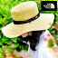 ̵ Ρե ˹ ϥå ǥ ޤ THE NORTH FACE Raffia Blade Hat ե ֥쥤 ϥå к եϥå ʥ NNW02441 2024ղƿ