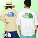 䂤pPbgI m[XtFCX TVc Y fB[X UV n I[o[TCY THE NORTH FACE Vv J[ XL[ eB[ S/S Simple Color Scheme Tee obNvg I[KjbNRbg NT32434 2024tĐV