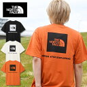 ゆうパケット発送!送料無料 ノースフェイス Tシャツ メンズ レディース 半袖 生地厚 速乾 THE NORTH FACE ショートスリーブ バック スクエア ...