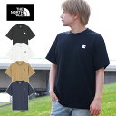 䂤pPbgI m[XtFCX TVc n XNGAS  Y fB[X THE NORTH FACE S/S Small Box Logo Tee V[gX[u X[{bNX S eB[ T NT32445 2024tĐV