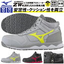 【楽天カード利用でポイント最大26倍! 11/25限定】 送...