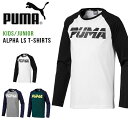 キッズ 長袖 Tシャツ プーマ PUMA ALPHA LS Tシャツ ジュニア 子供 男の子 女の子 ロゴ プリント ロンT 子供服 2019春新作 得割10 843947
