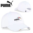 v[} Y fB[X Lbv PUMA v[}RAvCh Xq CAP S MǑ΍ ˕a\h 2024tĐV 025126