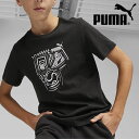 䂤pPbgΉ\Iv[} LbY  TVc PUMA GRAPHICS C[ Iu X|[c TVc WjA q q 2024tĐV 681333