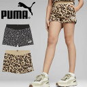 v[} LbY K[Y qE V[gpc PUMA WjA q ESS+ ANIMAL V[c  Ip[h Zp K[Y ̎q X|[cEFA 2024tĐV 681397