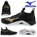  o[{[ V[Y Y fB[X ~Ym MIZUNO WAVE MOMENTUM 2 EF[u[^ V[Y C Nu  K  V1GA2112 25