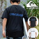 ネコポス発送! ラッシュガード メンズ クイックシルバー QUIKSILVER 半袖 BUBBLE SS ロゴ 水着 UVカット スイムウェア Tシャツ サーフィン ボディボード プール 海水浴 マリンスポーツ アウトドア QLY251012 2025春夏新作 10%off(4)