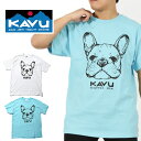 î XLTCY 䂤pPbgI KAVU Ju[  TVc Y fB[X Dog Tee hbO TVc AEghA Lv 20%off