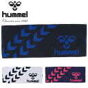 ヒュンメル hummel スポーツタオル 340×850mm スポーツ トレーニング フィットネス ジム 2023春夏新色 HAA5021