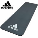 ヨガマット 送料無料 アディダス adidas フィットネスマット 10mm グレー ヨガマット トレーニングマット エクササイズマット ストレッチ トレーニング ヨガ ピラティス 宅トレ ADMT-11015GR