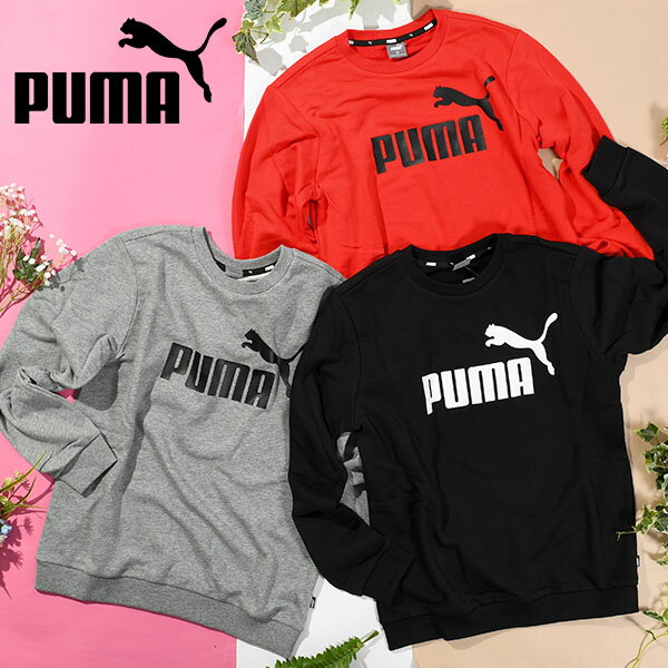 プーマ キッズ スウェット トレーナー PUMA ESS ビッグロゴ クルースウェット TR ジュニア 子供 裏毛 ジャージ スエット 子供服 846544