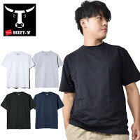 送料無料 1枚でスタイルが決まる 2枚組 半袖Tシャツ BEEFY ヘインズ Hanes 2着 ヘビーウェイトTシャツ ビーフィー メンズ 生地厚 丈夫 無地 コットン100% h5180-2