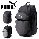 送料無料 プーマ リュックサック PUMA TEAMFINAL バックパック 35L スポーツバッグ リュック バッグ かばん 鞄 サッカー フットボール フットサル 部活 クラブ 遠征 学校 通学 22%off 079266