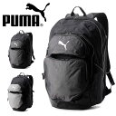 送料無料 プーマ リュックサック PUMA TEAMFINAL バックパック 45L スポーツバッグ リュック バッグ かばん 鞄 サッカー フットボール フットサル 部活 クラブ 遠征 学校 通学 21 off 079267