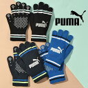 ■商品コメント &nbsp; PUMA(プーマ) NO.1 ロゴ マジックグローブ になります。 メンズ・レディース・男性・女性・男女兼用・ユニセックス・キッズ・ジュニア・子ども 定番のキャットロゴを用いたニットグローブ あらゆるスポーツ（マラソン・ジョギング・ウォーキング、サッカー・フットサル）はもちろん、普段の防寒用、通学、通勤にかかせないアイテムです。 アクリル/ポリエステル/その他 サイズ：S(17cm)/ M(19cm) 【ゆうパケットについて】 こちらの商品は3点までゆうパケット発送可能です。 サイズ・カラー違いをお選び頂いてもまとめて発送いたします。 ※それ以上のご注文や、他商品を同時注文のうえ【ゆうパケットを利用する】を選択されますと通常発送になりますのでご了承ください。 ※ご注文後に自動送信されるメールには通常送料が加算されて表示されます。その後、当店からお送りするご注文確認メールにて、送料を修正したお支払い金額をご連絡いたします。 ※お支払い方法はクレジットカードのみ対象になりますのでご注意ください。 &nbsp; ■商品詳細 &nbsp; ■ブランド PUMA-JAPAN（プーマジャパン） ■商品名 NO.1 ロゴ マジックグローブ ■品番 041800 ■カラー 05-プーマブラック/ライトアクア 06-ピーコート/フィジーライト 08-プーマローヤル/プーマブラック ■材質 アクリル/ポリエステル/その他 ■サイズ S(17cm)/ M(19cm) &nbsp; ■商品カラーにつきまして &nbsp; 可能な限り商品色に近い画像を選んでおりますが、閲覧環境等により画像の色目が若干異なる場合もございますので、その旨をご理解された上でご購入ください。 &nbsp; メーカー希望小売価格はメーカー商品タグに基づいて掲載しています