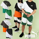 31%off 送料無料 プーマ メンズ レディース 半袖 Tシャツ ハーフパンツ 上下セット PUMA POWER キャット Tシャツ スウェットショーツ 上下組 セットアップ 2023春新作 675736 675755