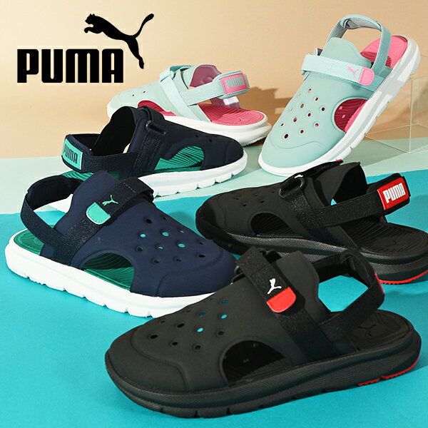 ̵ ס Φξ å  Ĥݸ PUMA ˥ Ҷ ˤλ λ ܥ  AC PS ӡ 塼  Ҷ ٥륯  ס ӡ ͷ  2024ղƿ 390692