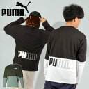 送料無料 プーマ メンズ レディース 長袖 Tシャツ PUMA POWER カラーブロック LS Tシャツ スポーツ カジュアル スポカジ 2023秋冬新作 677682