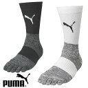 ゆうパケット発送! 送料無料 プーマ サッカー 5本指 ソックス PUMA グリップソックス ストッキング 靴下 ソックス サッカー フットサル スポーツソックス 658035