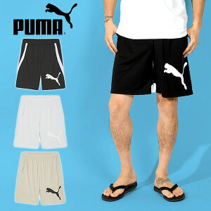 ̵ ס  ϡեѥ  PUMA TRAIN ALL DAY 8 硼 ûѥ 硼ȥѥ ݡĥ ȥ졼˥   2024ղƿ 525515