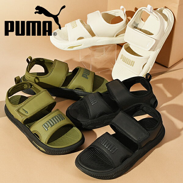 ̵ ס ȴ դդ磻󥽡  PUMA  ǥ SOFTRIDEPRO 24 եȥ饤 ٥륯 ȥåץ ȥɥ  ե 塼  2024ղƿ 395429