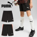 プーマ キッズ ショートパンツ 下 PUMA INDIVIDUALLIGA TR ショーツ 2 JR OP ジュニア 子供 短パン ハーフパンツ スポーツウェア サッカー フットボール フットサル 練習 部活 クラブ 2025春夏新色 659838