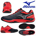 送料無料 テニスシューズ ミズノ MIZUNO WAVE S