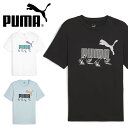 ゆうパケット対応可能！プーマ メンズ レディース 半袖 Tシャツ PUMA GRAPHICS スニーカー Tシャツ ロゴ クルーネック スポーツカジュアル スポカジ 2024春夏新作 681169